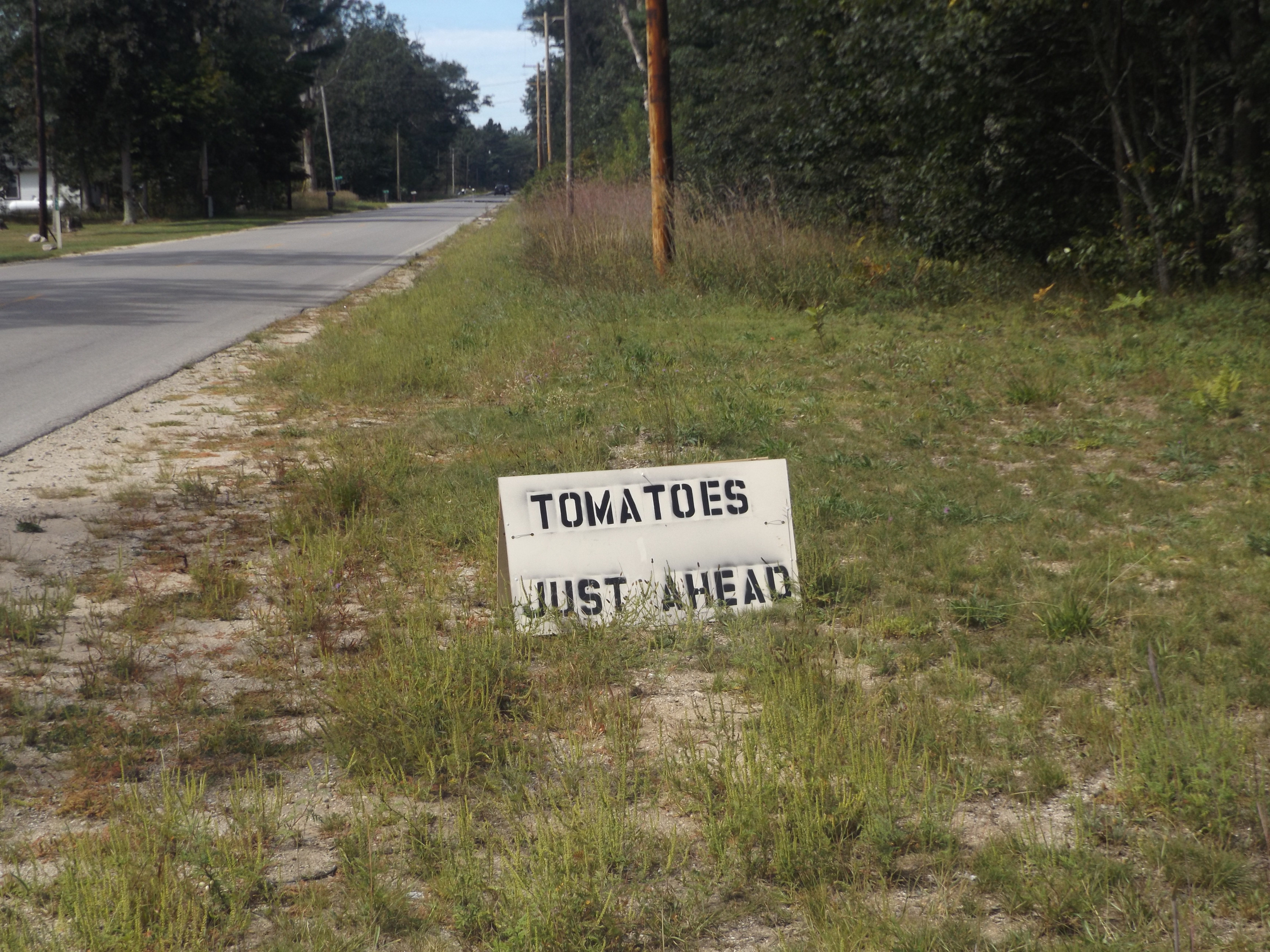 New Book Cover Image 2