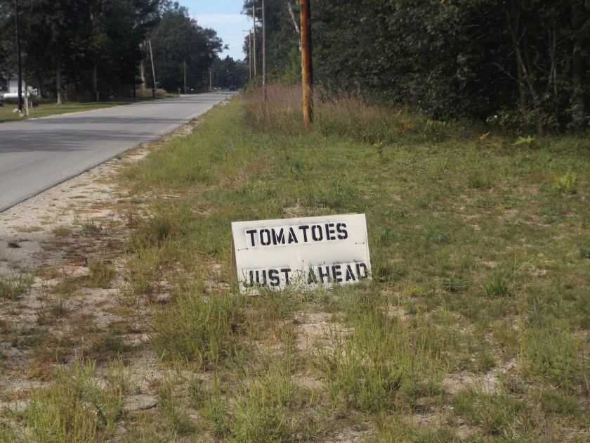 New Book Cover Image 2