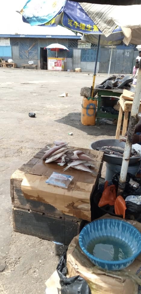 4D089BAD-B0F2-4C1C-B99F-92FE43CC9F9C