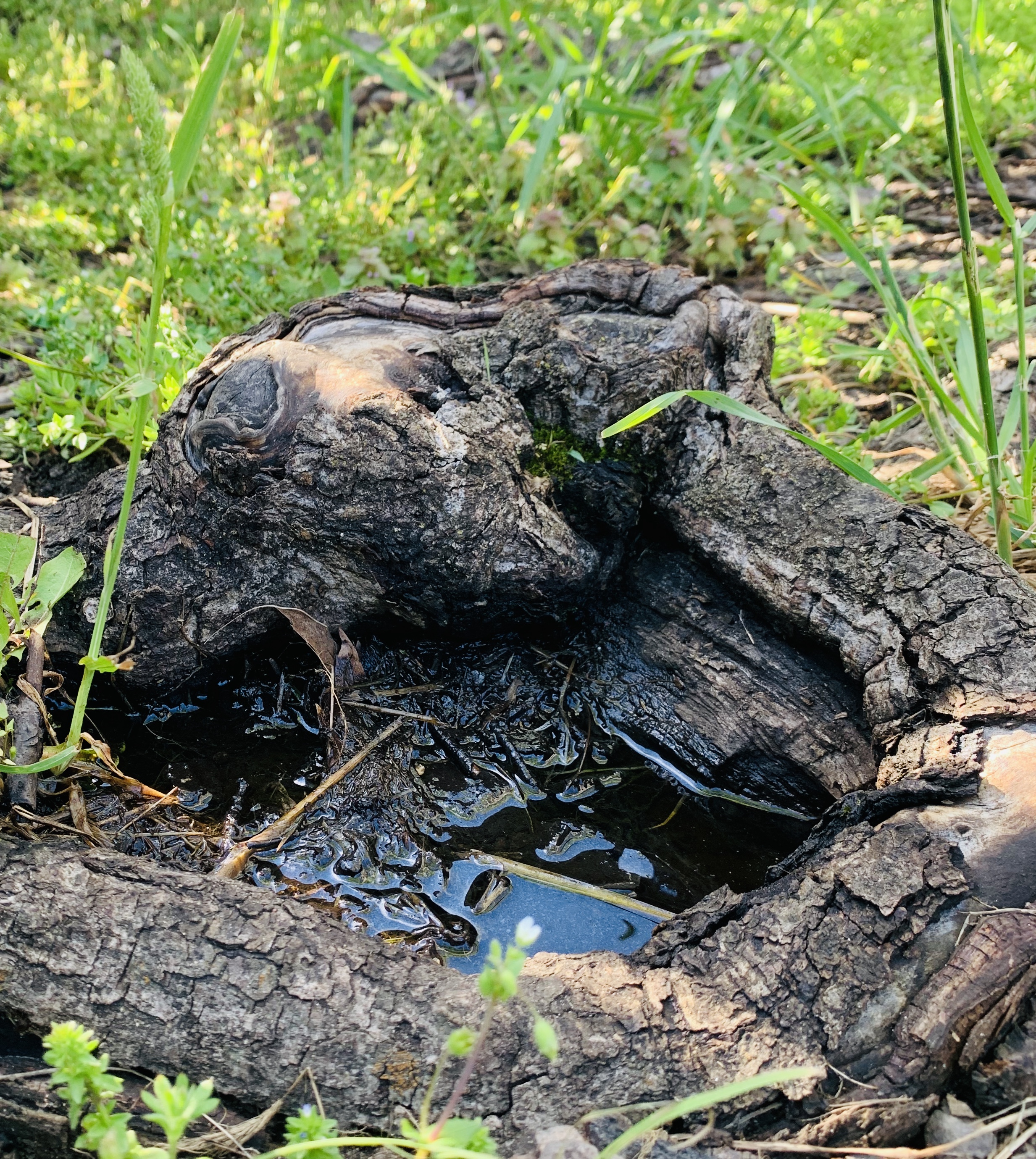 AFDF29DD-624D-4071-9CA1-44DE9EF23289