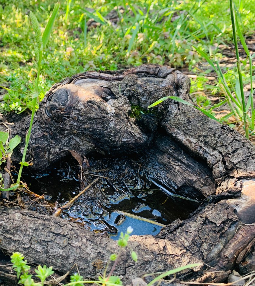 AFDF29DD-624D-4071-9CA1-44DE9EF23289